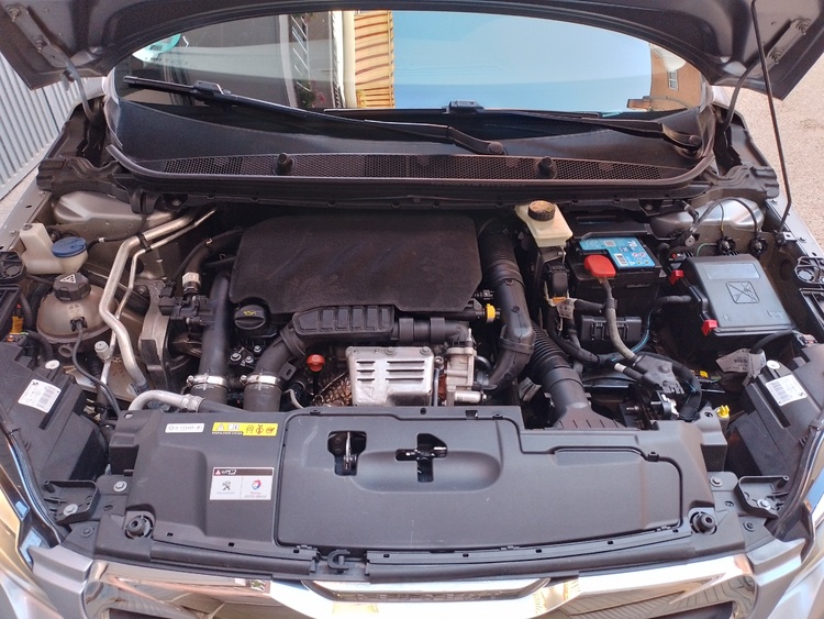Peugeot 308 Active foto 19